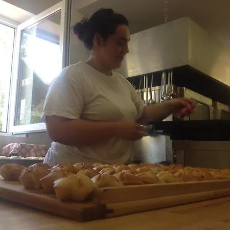 Отель Rekreacni Areal Zbraslavice 3*